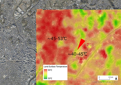 Land Surface Temperature Distribution in Fujisawa (Summer 2025)